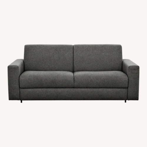 Used Pullout Sofa for sale on AptDeco