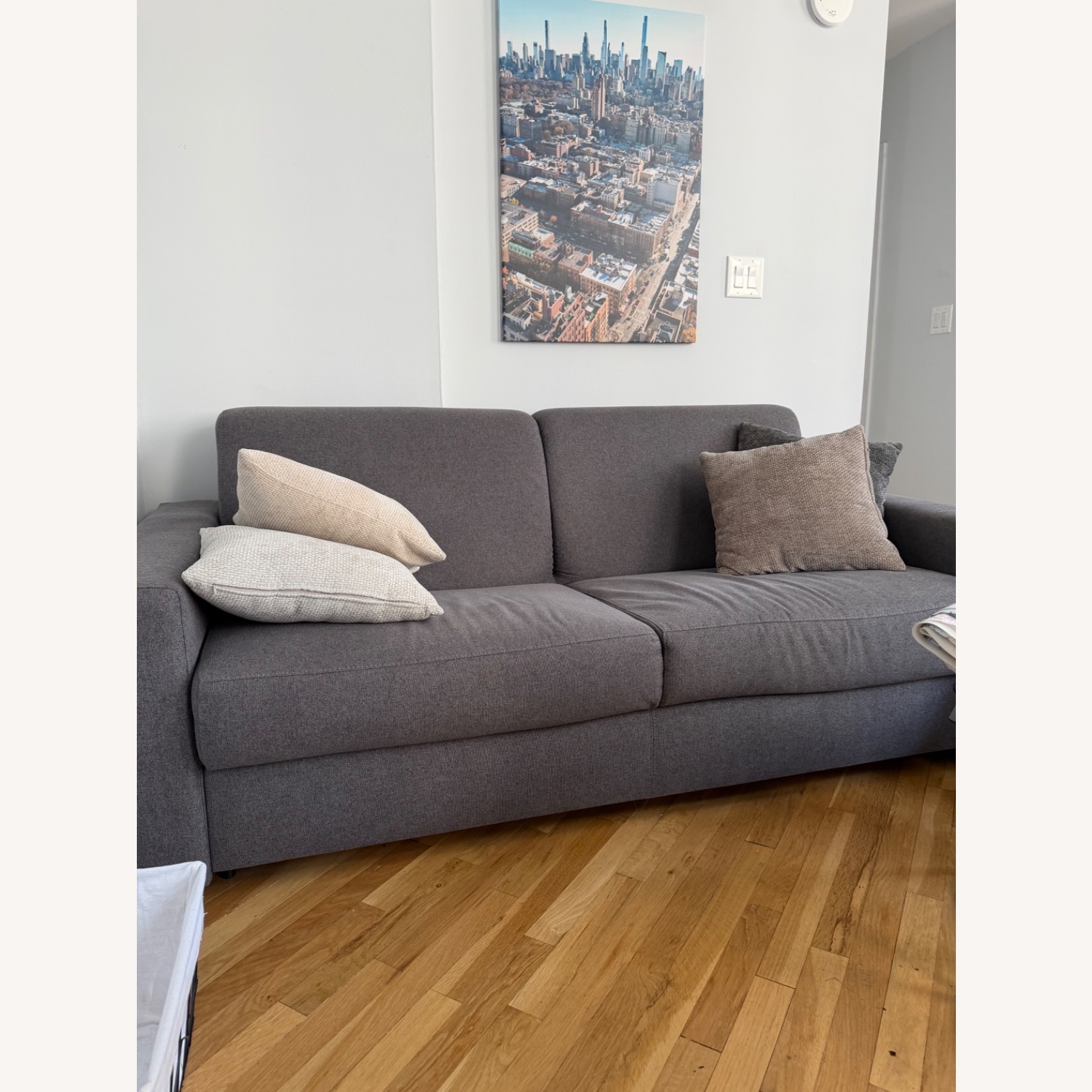 Pullout Sofa - image-1