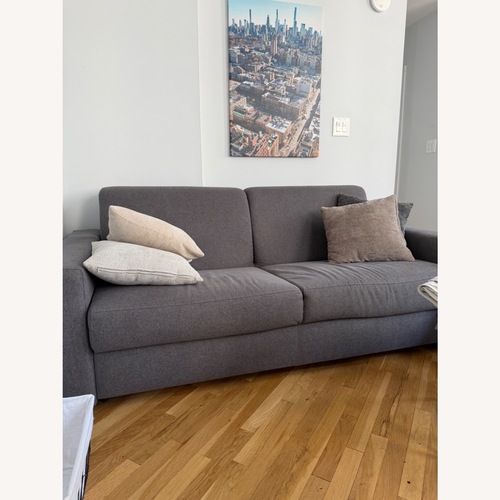 Used Pullout Sofa for sale on AptDeco