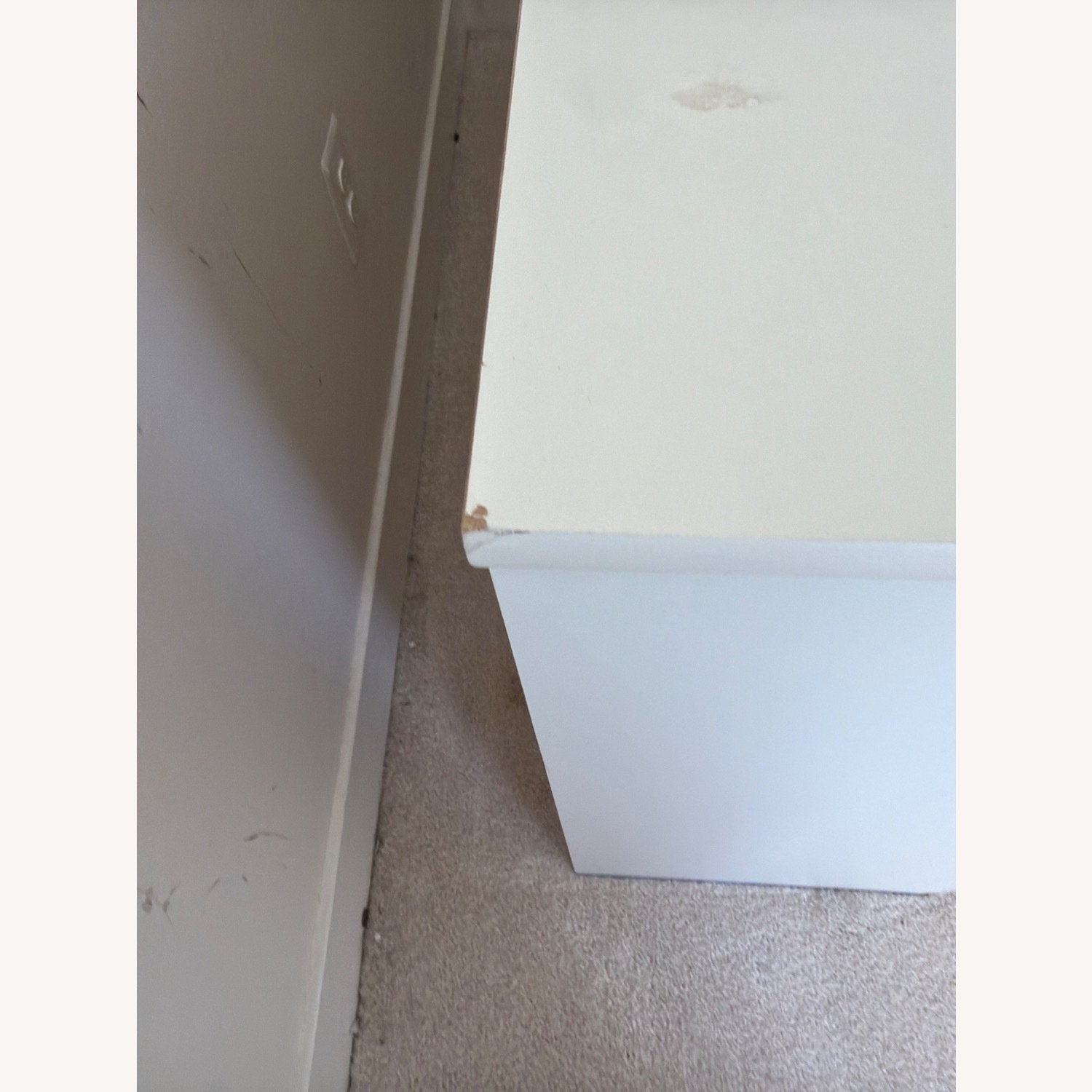 White Chest - image-4