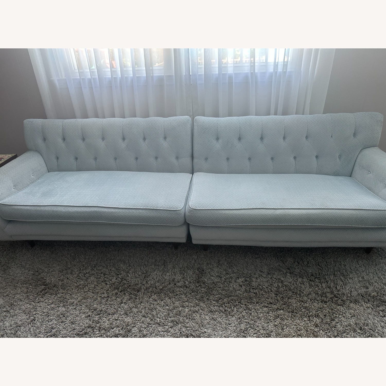 Vintage/Antique Finds Blue 2 Piece Sectional - image-1