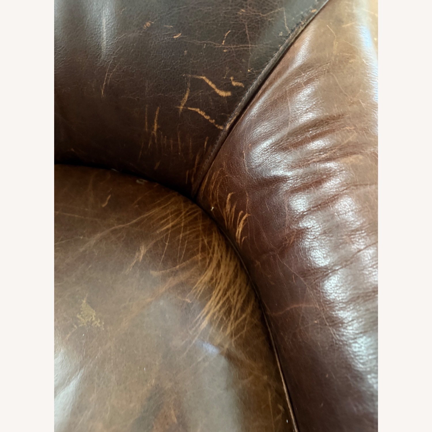 Crate & Barrel Dark Brown Leather Armchair - image-6
