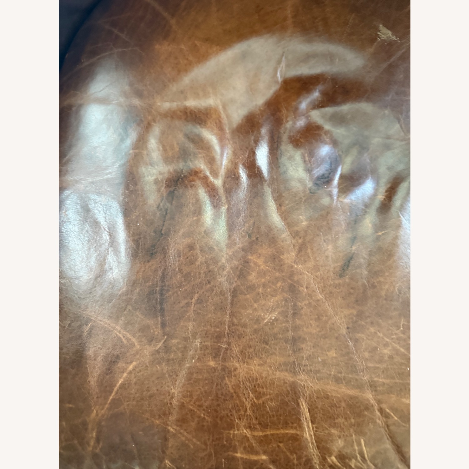 Crate & Barrel Dark Brown Leather Armchair - image-7
