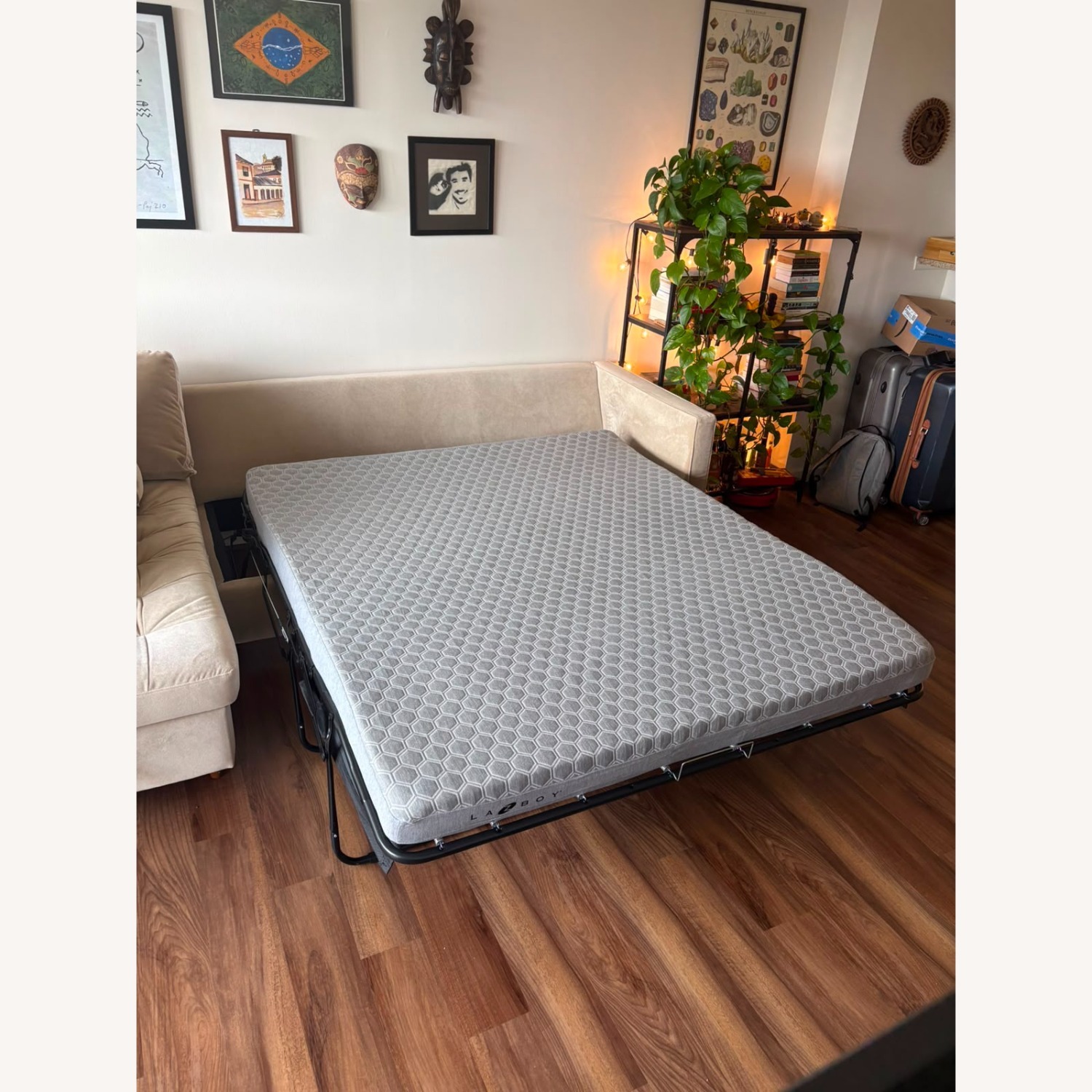 Joybird Briar Light Brown Velvet Sleeper Sofa - image-7