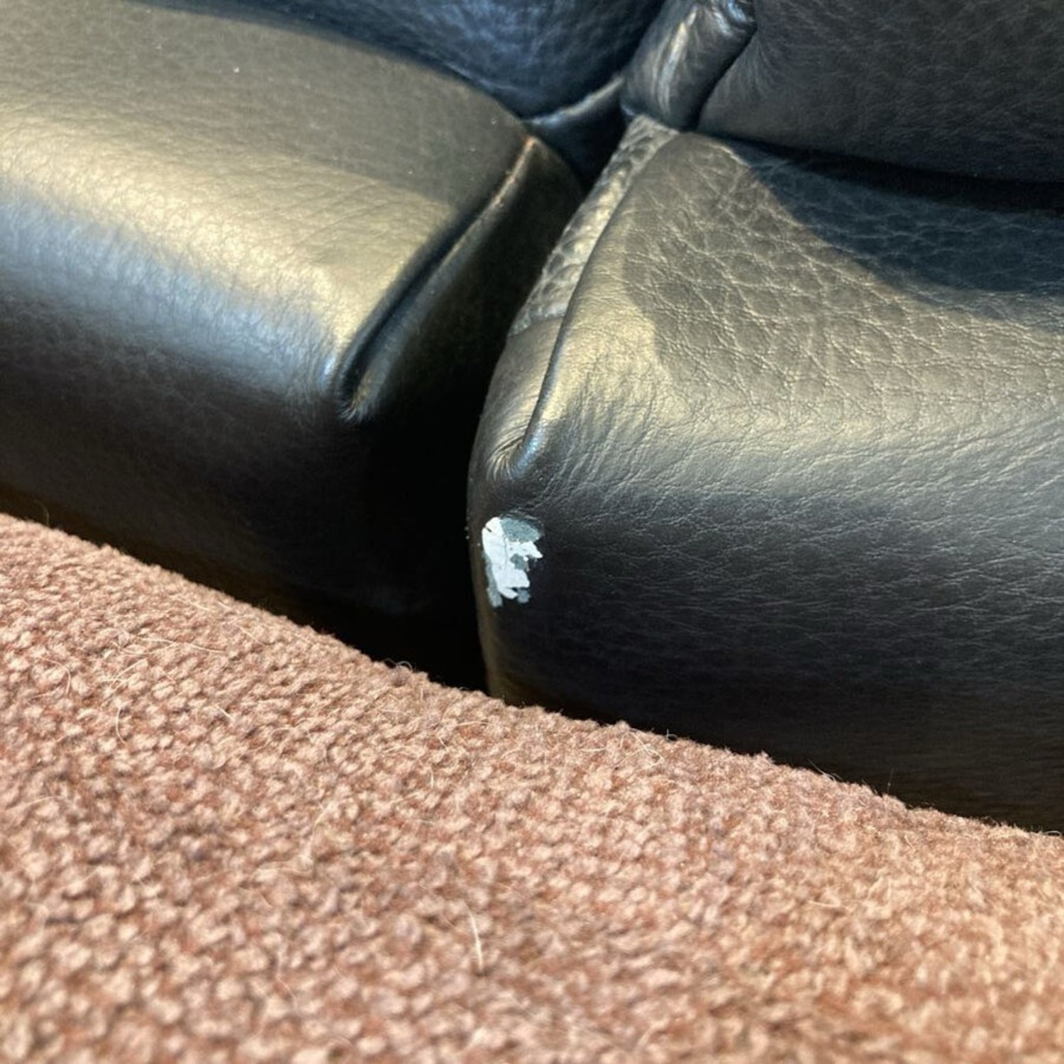 Contemporary Curved Leather Sectional - image-9