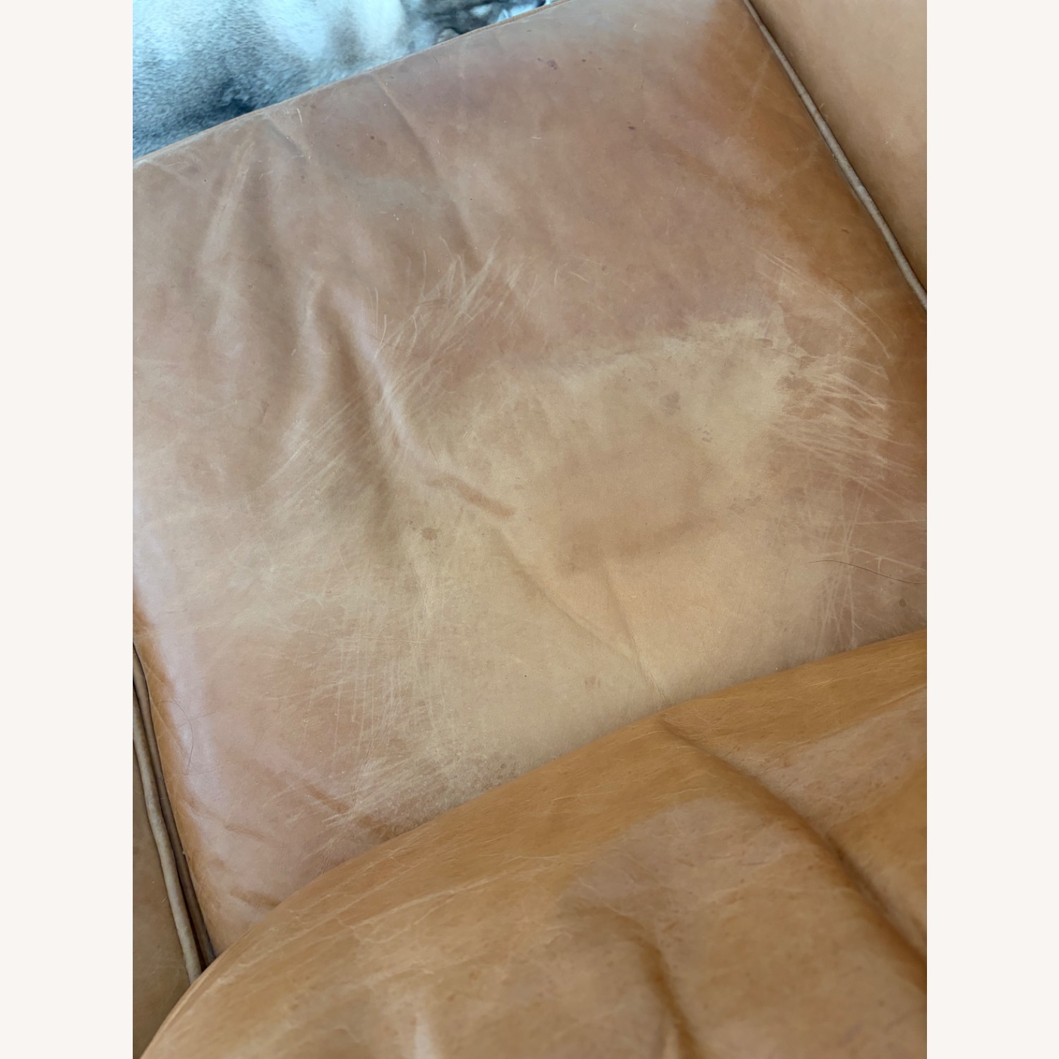 West Elm Hamilton Leather Sofa Tan Color - image-6