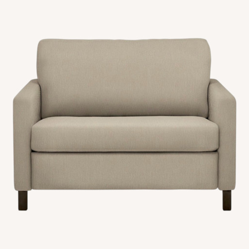 Used Room & Board Light Gray Fabric Sleeper Sofa for sale on AptDeco