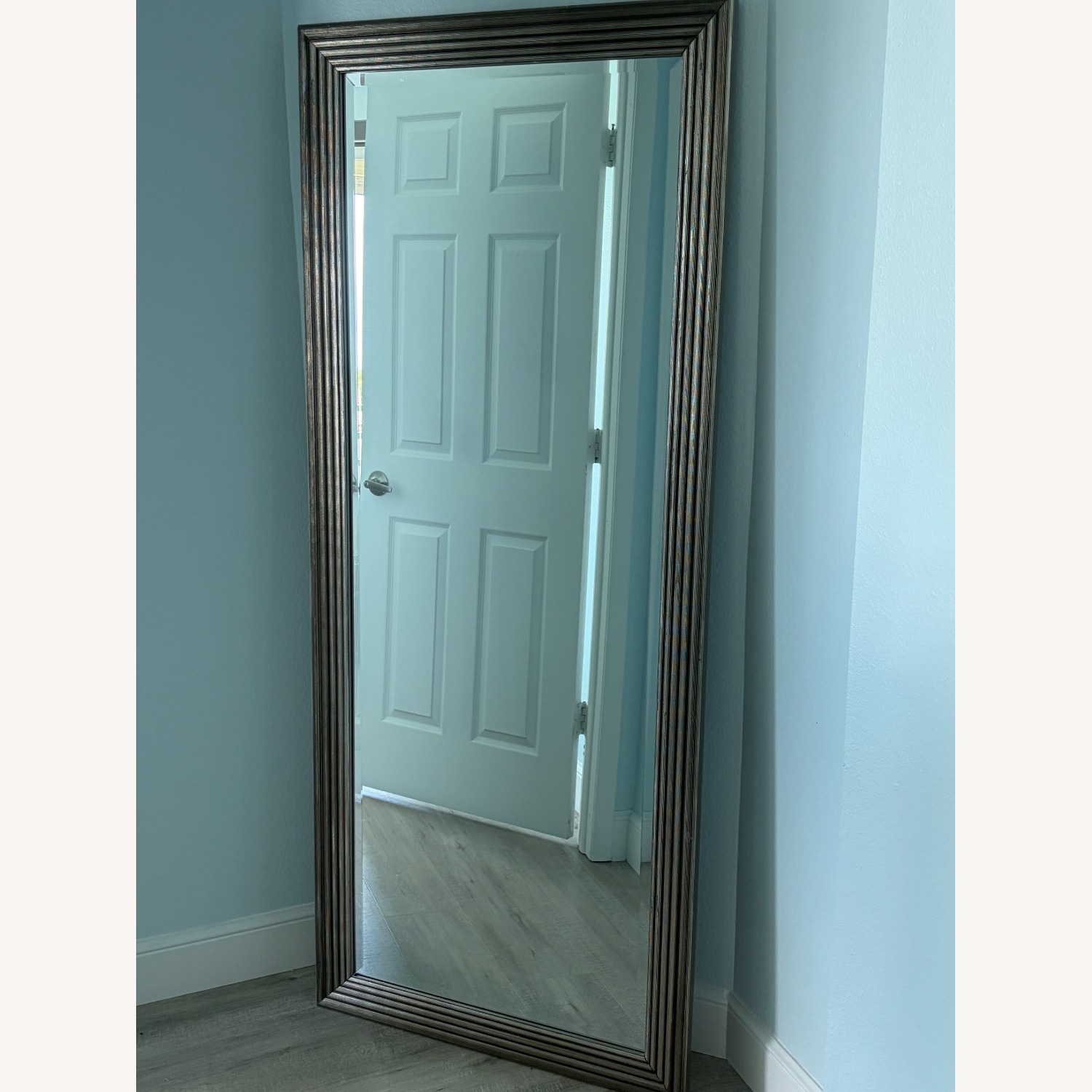 Contemporary Champagne Silver Leaner Floor Mirror - image-3