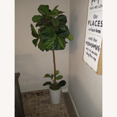 Used Decor Potted Plant Tall for sale on AptDeco