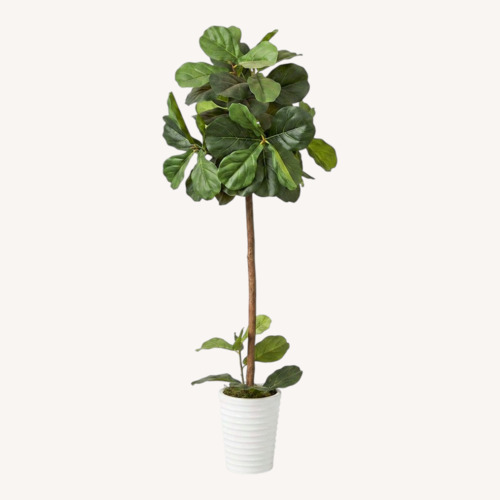 Used Decor Potted Plant Tall for sale on AptDeco