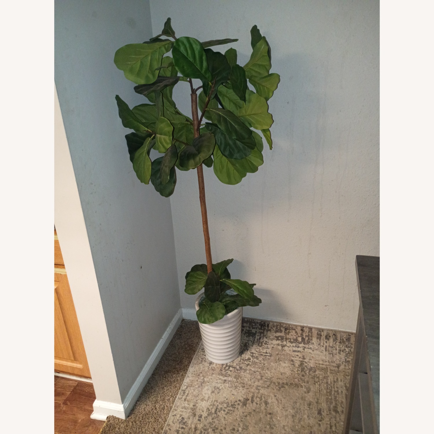 Decor Potted Plant Tall - image-2
