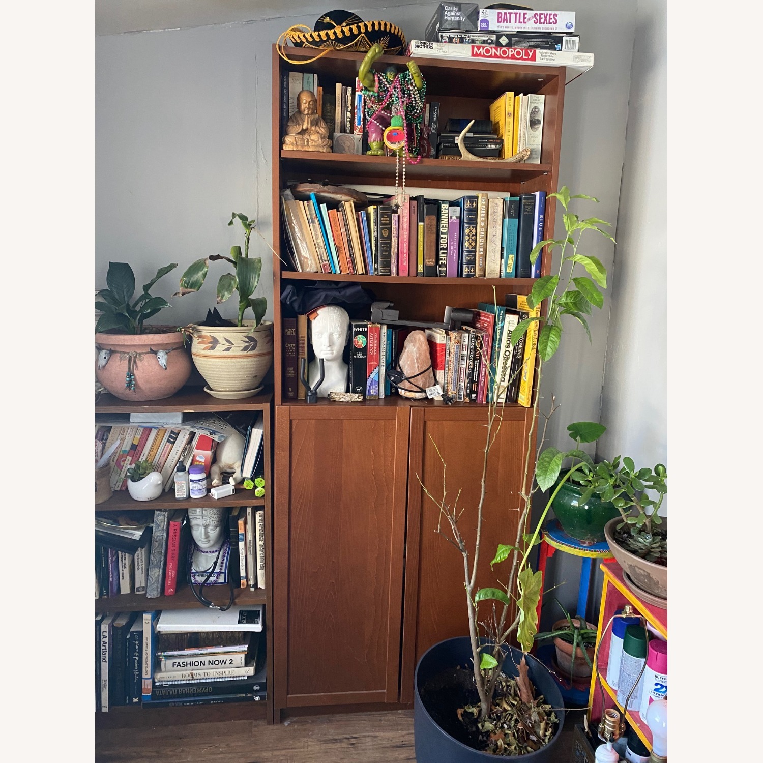 2 IKEA Billy WALNUT Wood Bookcase Shelves - image-4