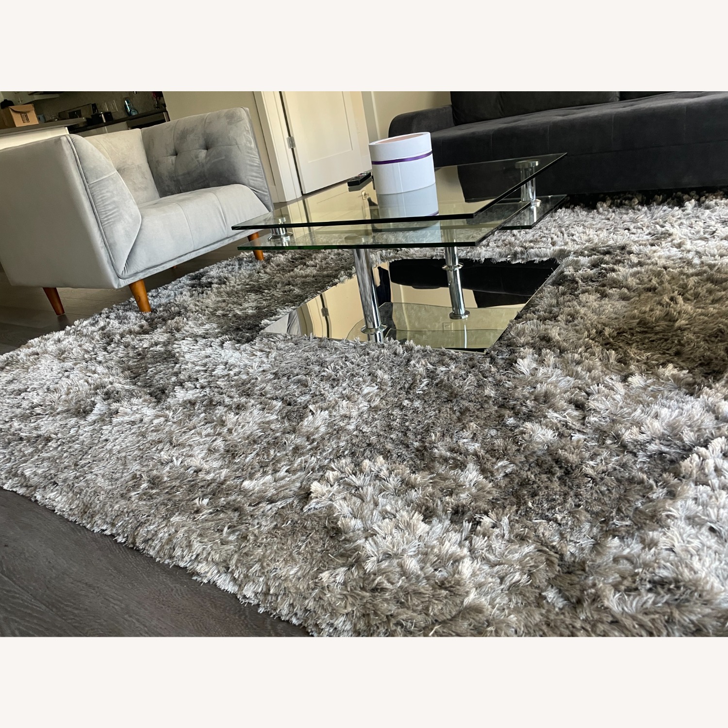 Modani Light Gray Area Rug 9' x 12' - image-2