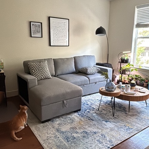 Used Bob's Discount Furniture Light Gray Sleeper Sofa for sale on AptDeco