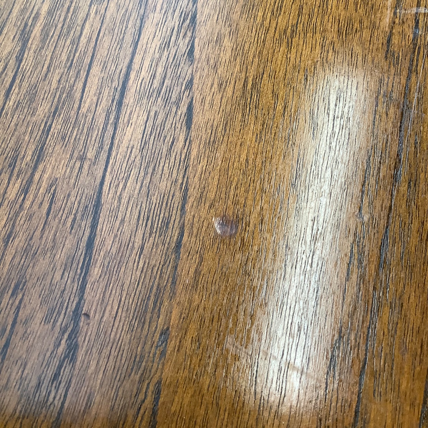 Mid-Century Walnut & Black Trim Coffee Table - image-15