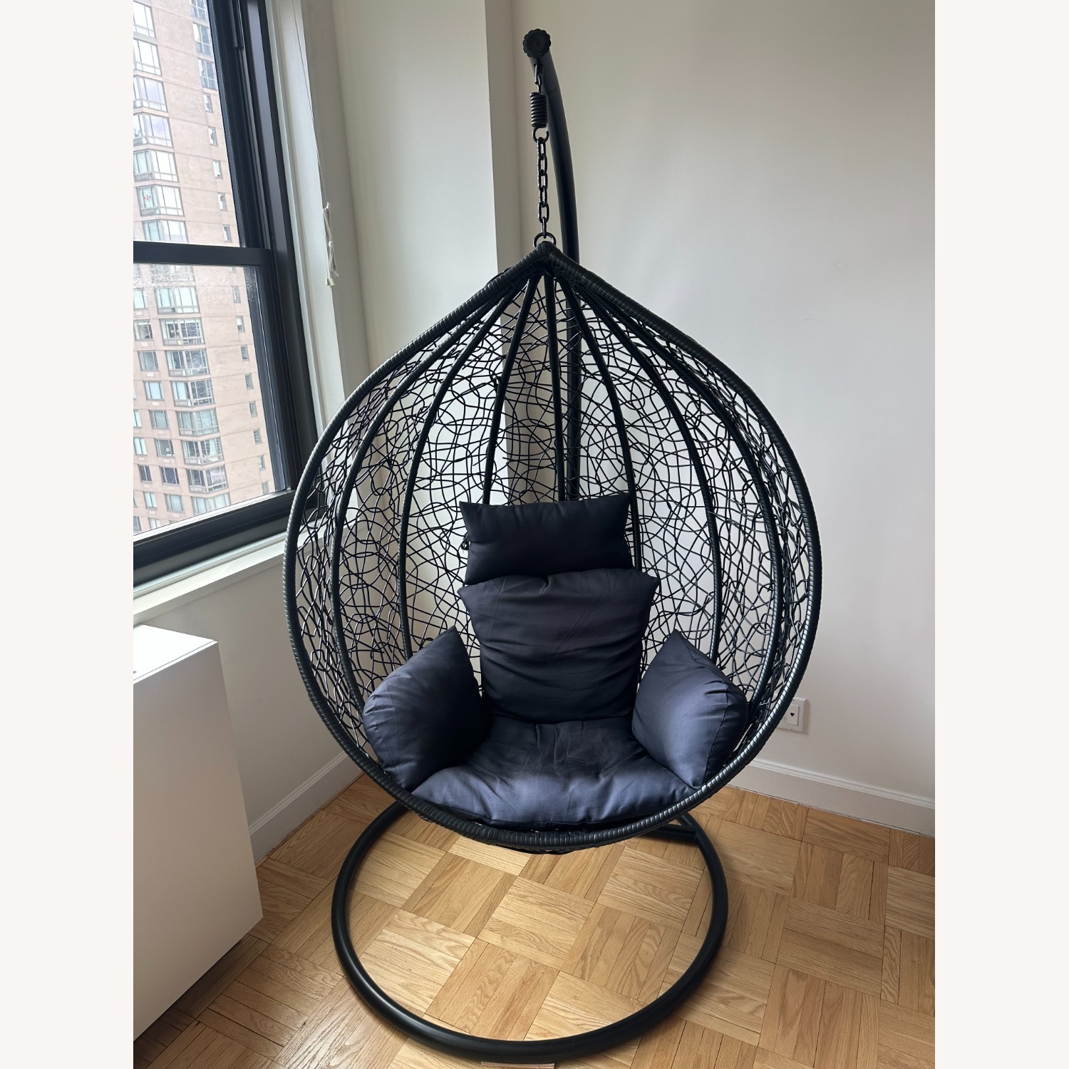 Amazon Swing Egg Chair with Cushions - image-1
