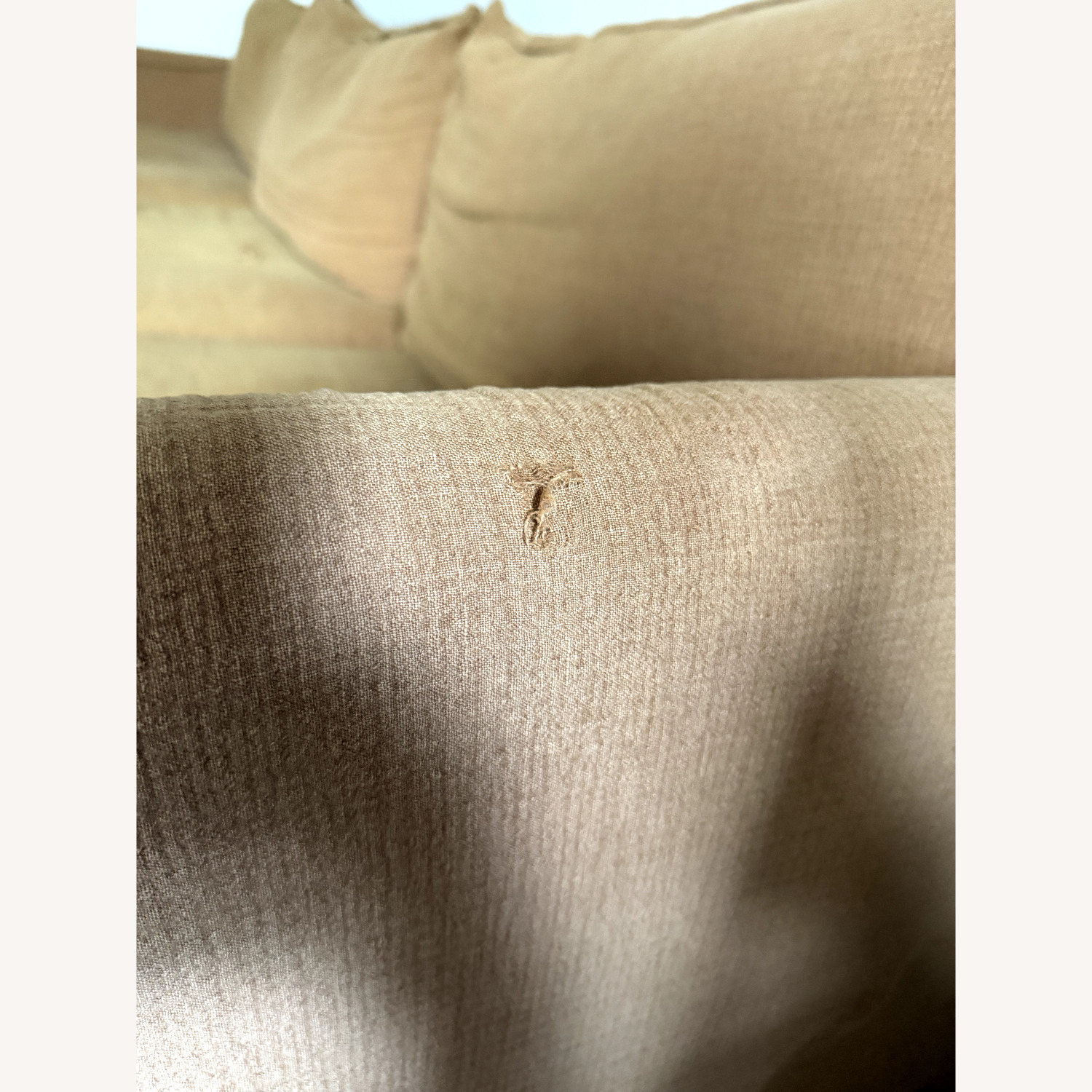 Sixpenny Neva Light Brown Linen 3+ Piece Sectional - image-6