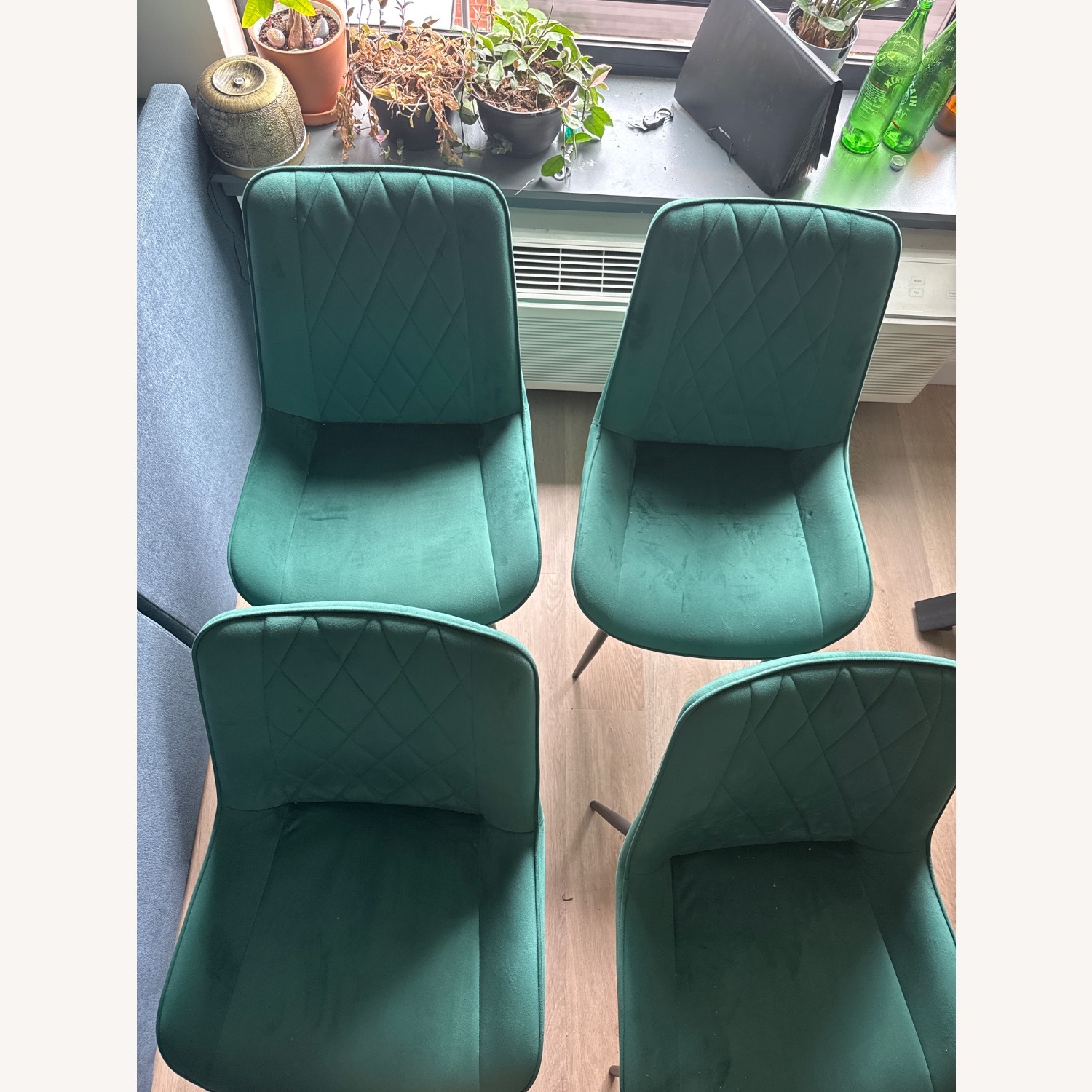 Wayfair Green Velvet Dining Chairs - image-4