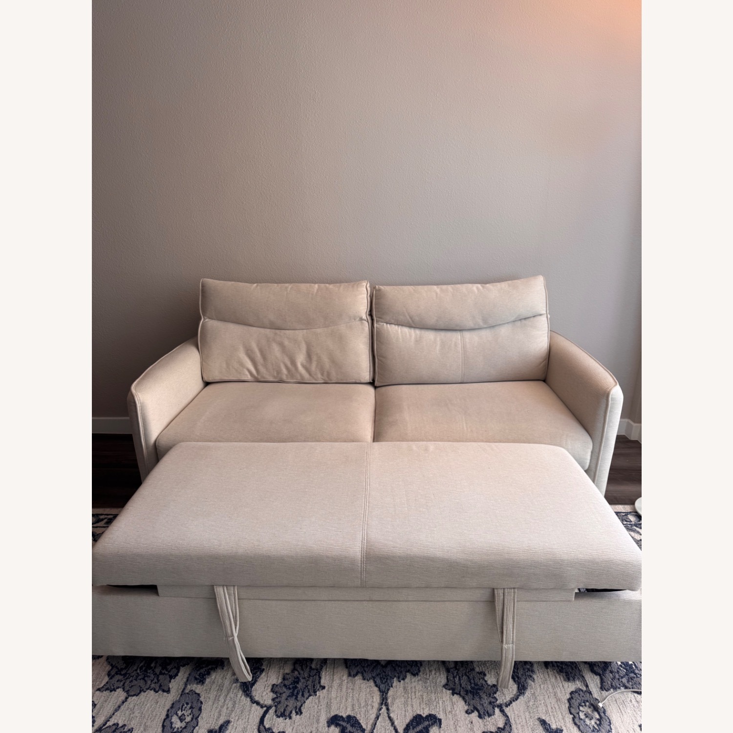 Amazon Sleeper Sofa - image-1