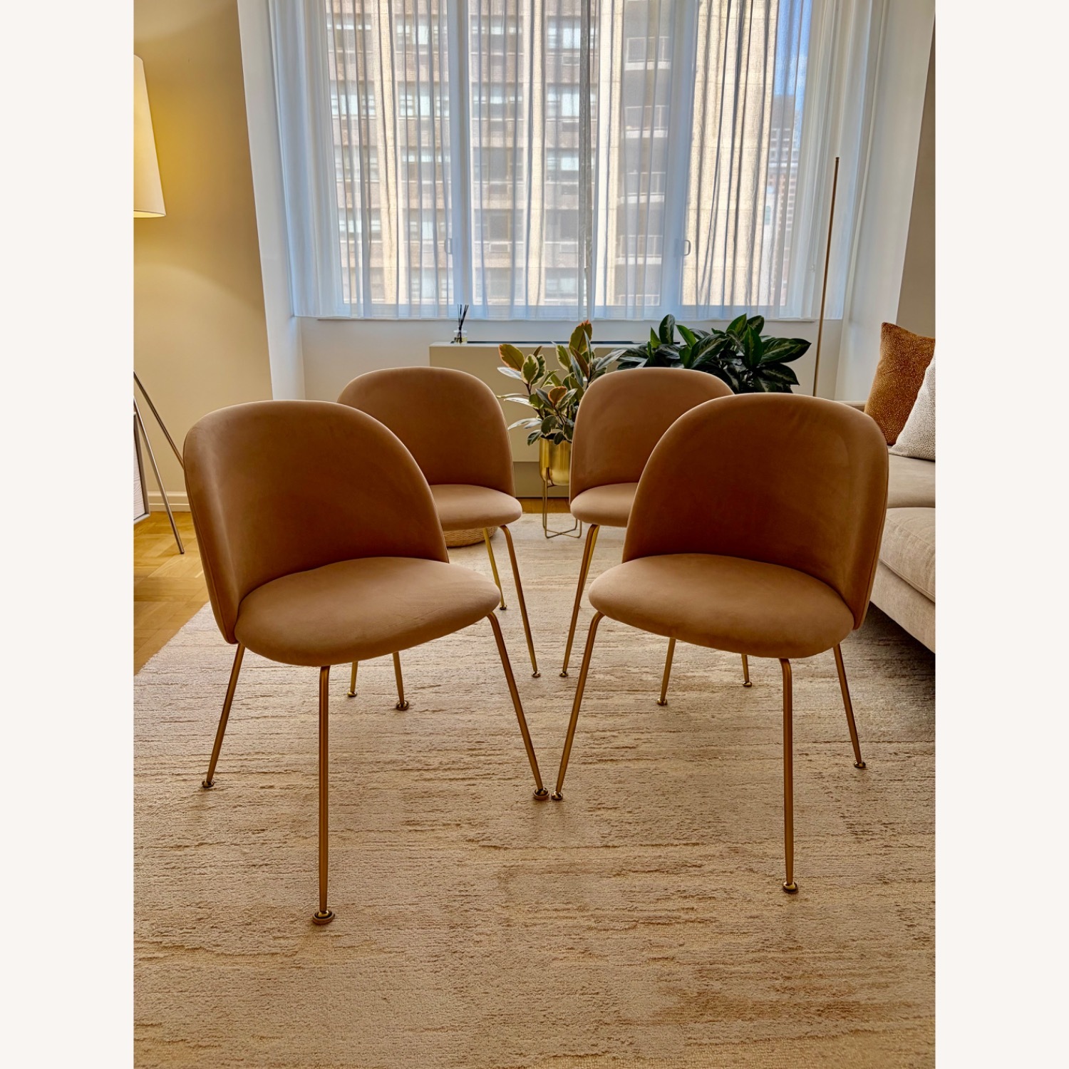 Rove Concepts Iris Dining Chairs (Set of 4) - image-7