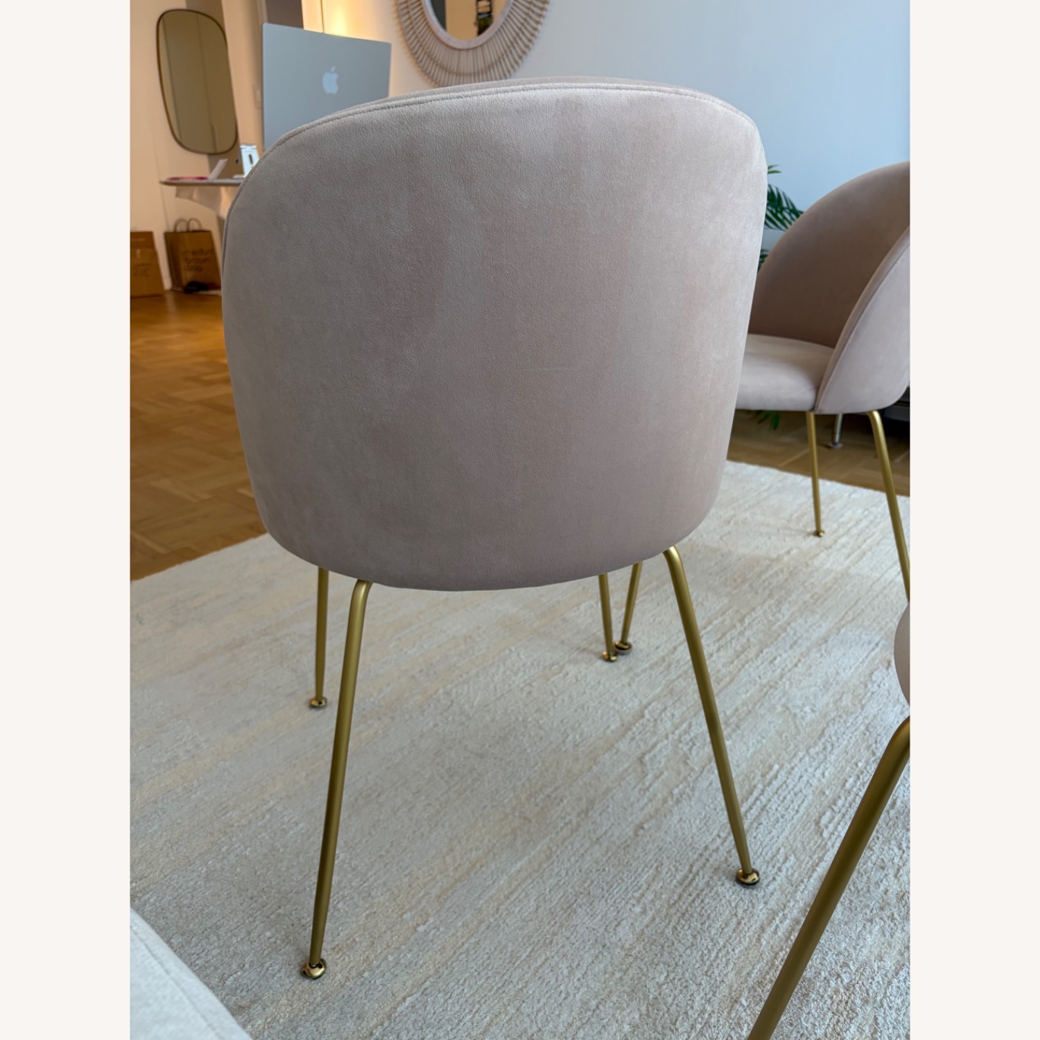 Rove Concepts Iris Dining Chairs (Set of 4) - image-5