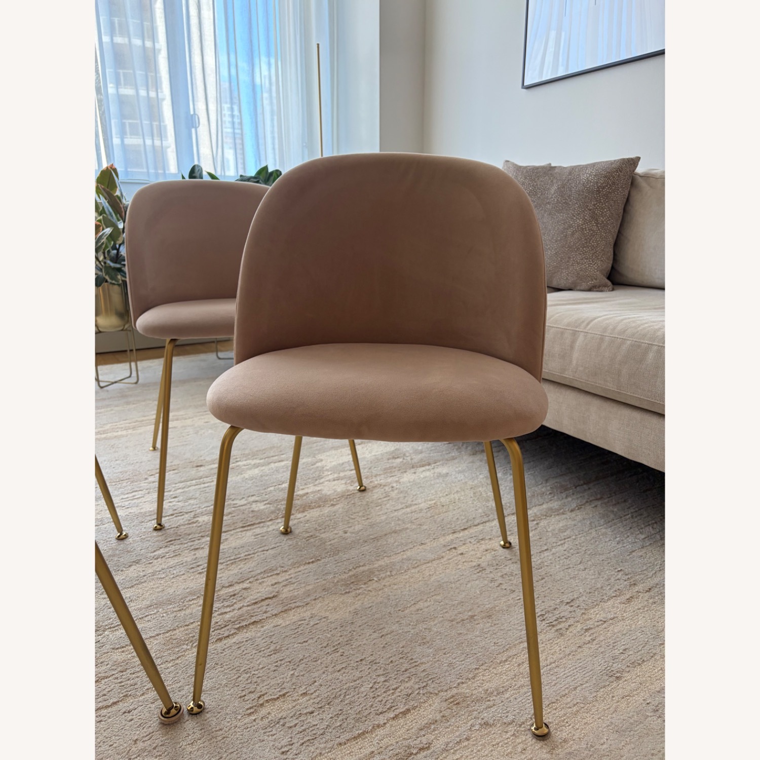 Rove Concepts Iris Dining Chairs (Set of 4) - image-1