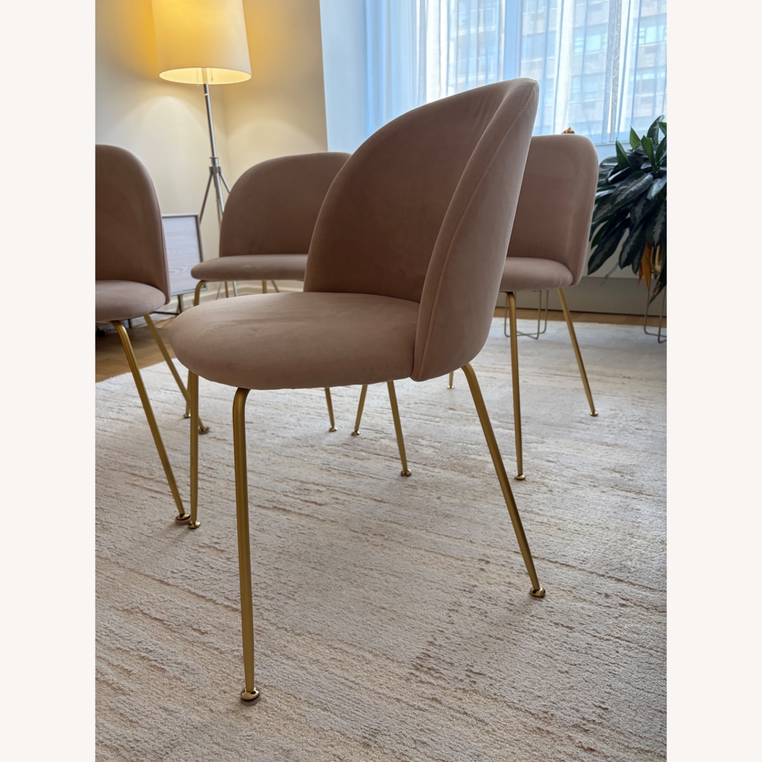 Rove Concepts Iris Dining Chairs (Set of 4) - image-6