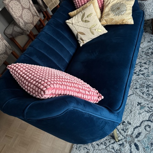 Used Wayfair Willa Arlo Blue Velvet 2 Seater Sofa for sale on AptDeco
