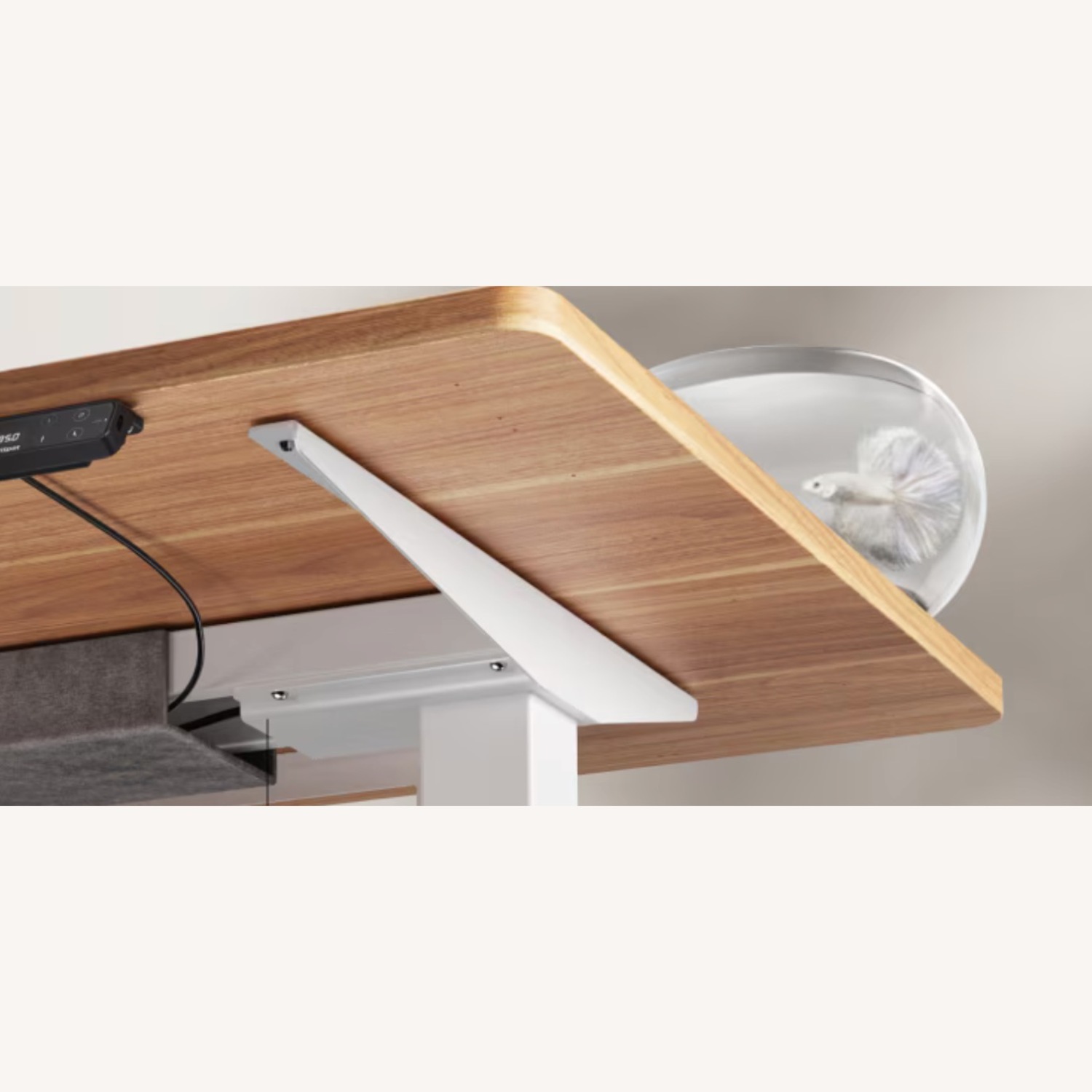 Flexispot Desk - image-2