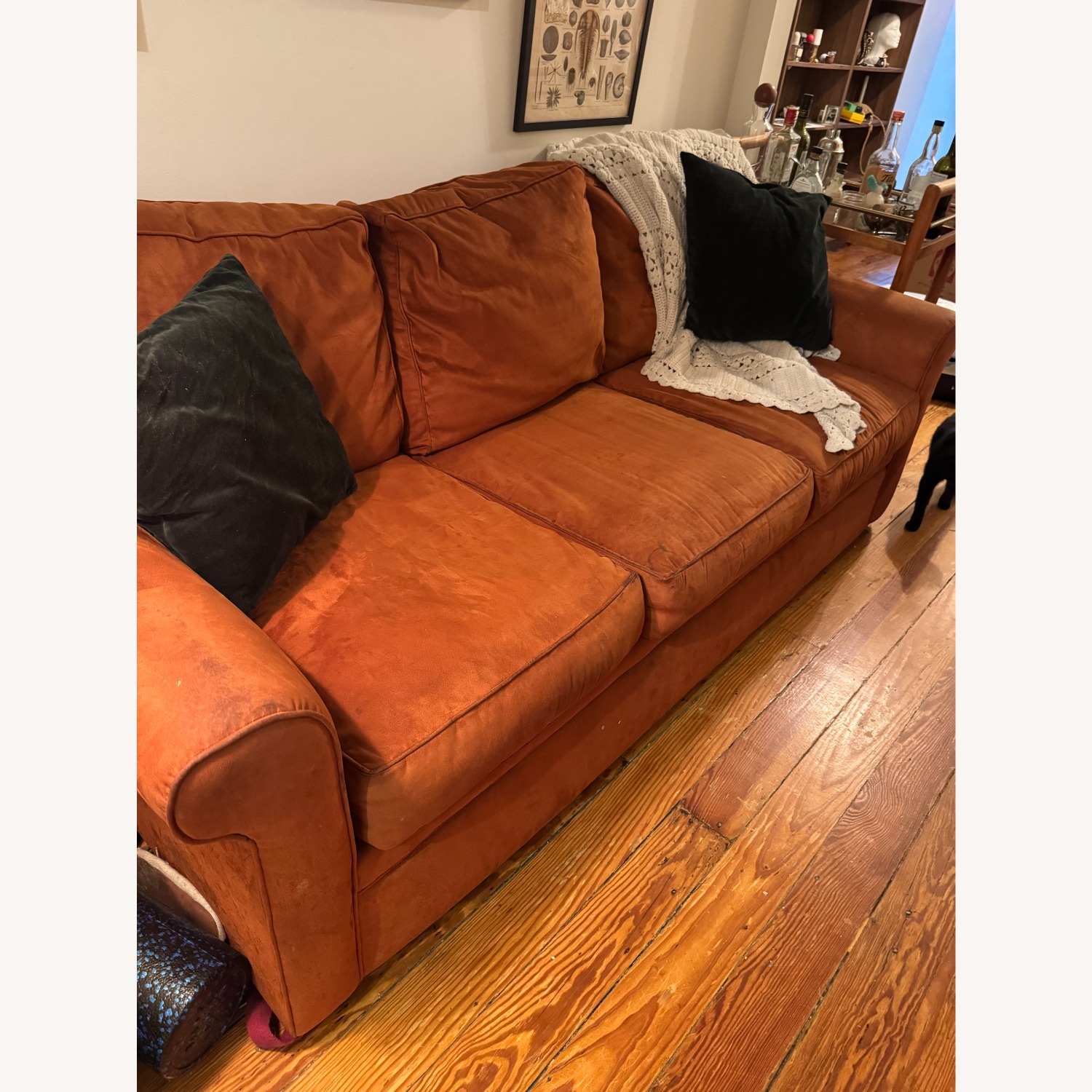 Orange Micro-suede Sofa - image-3