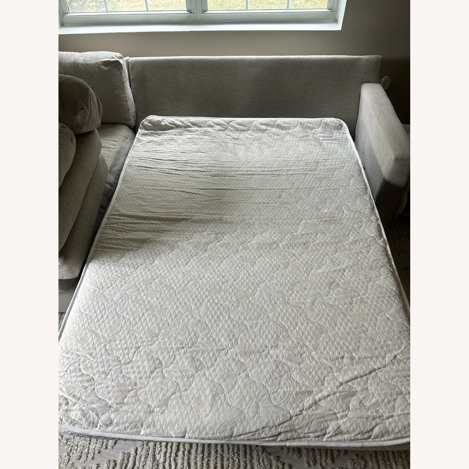 Crate & Barrel Natural Fabric Sleeper Sofa - image-6