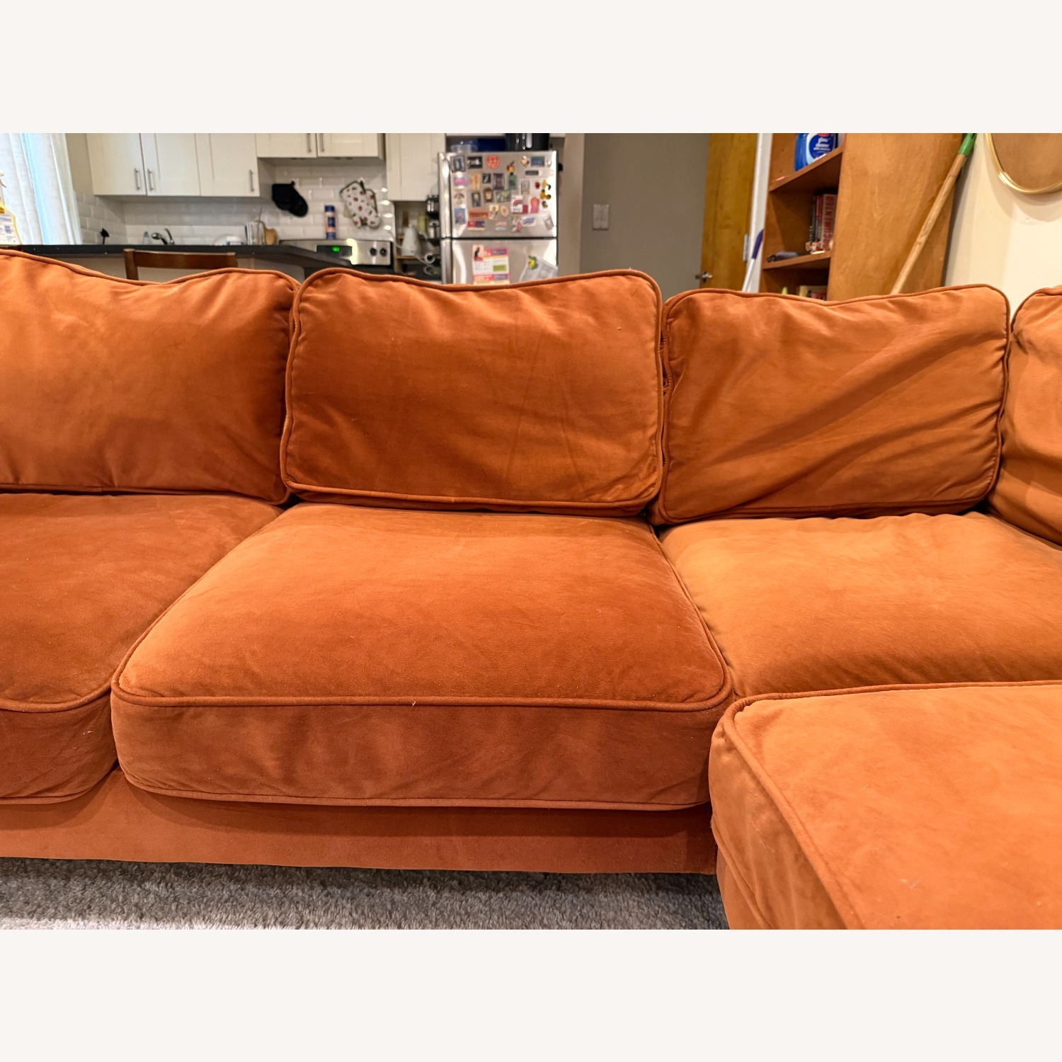 Albany Park Velvet 2 Piece Sectional - image-5