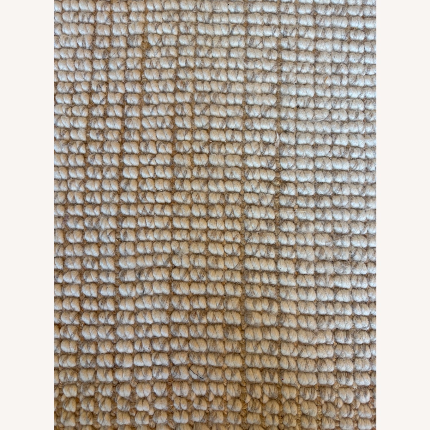 Pottery Barn Natural Wool Blend Area Rug 6' x 9' - image-3