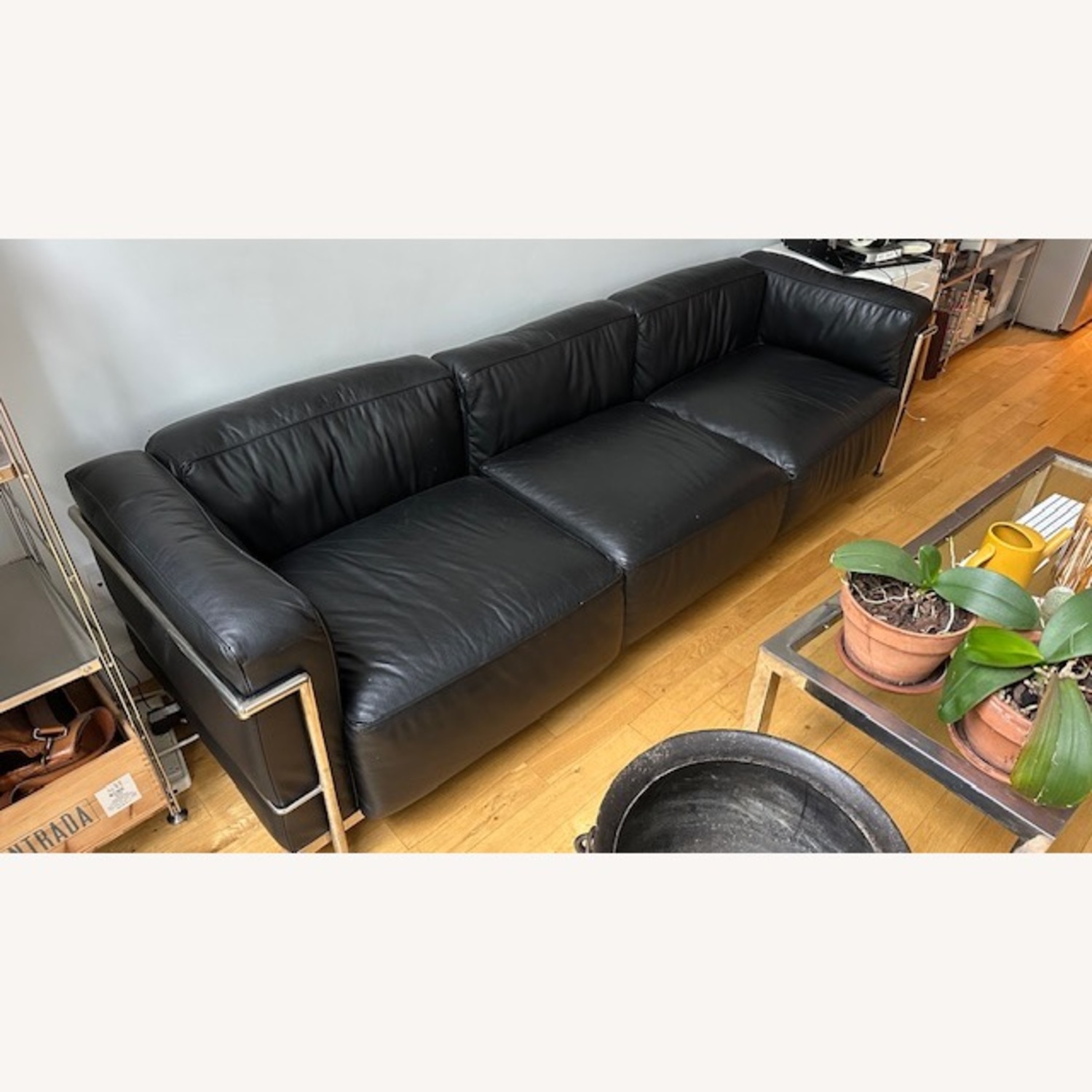Le Corbusier LC2 Black Leather Sofa - image-3