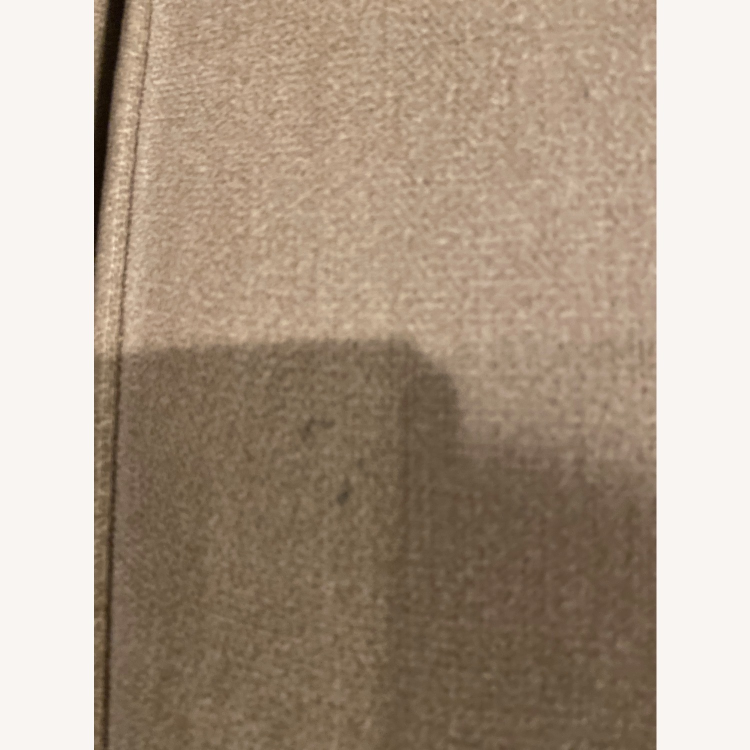 Living Spaces Reid Buff Beige Fabric 80" Sofa | Track Arms - image-4