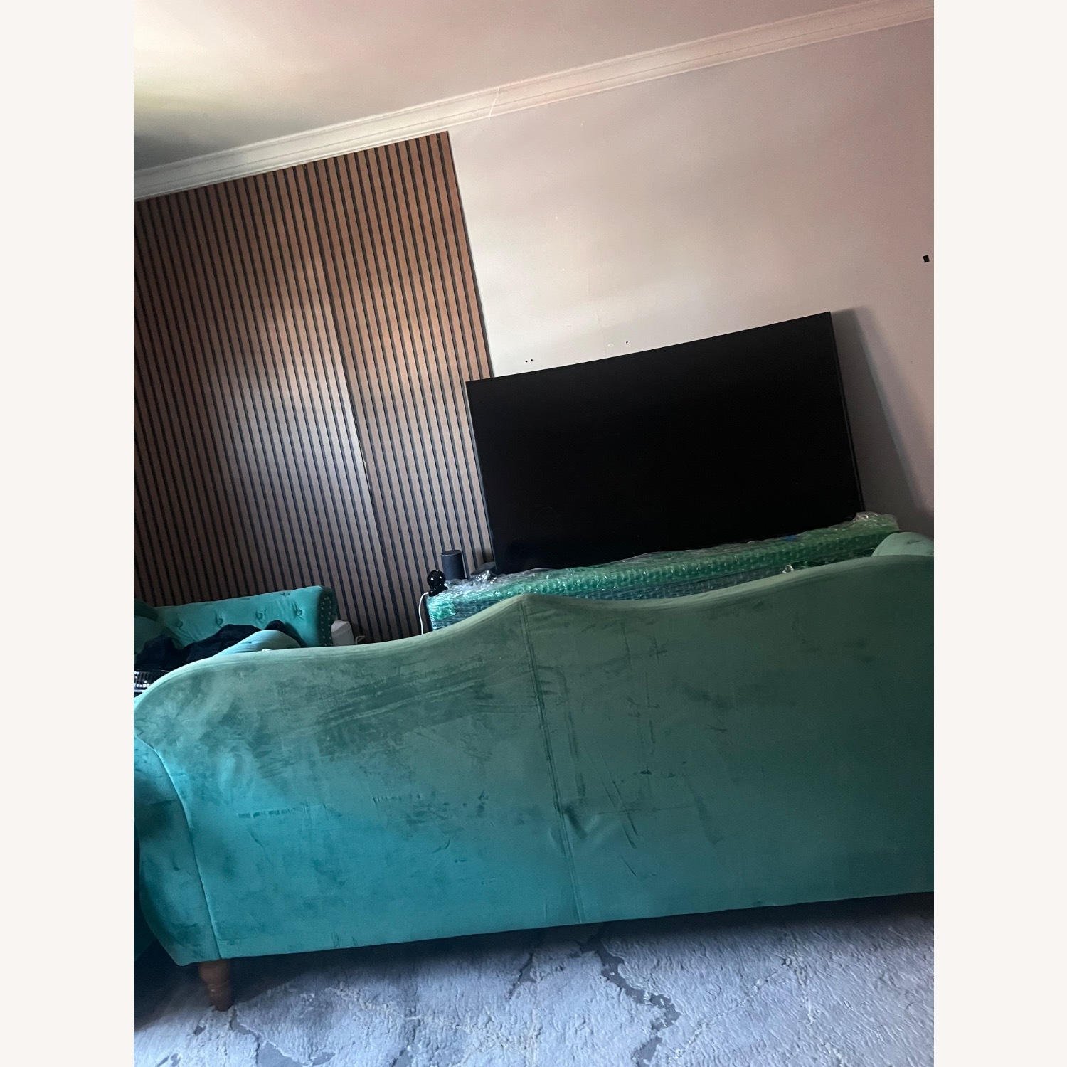 Green Sofa - image-4