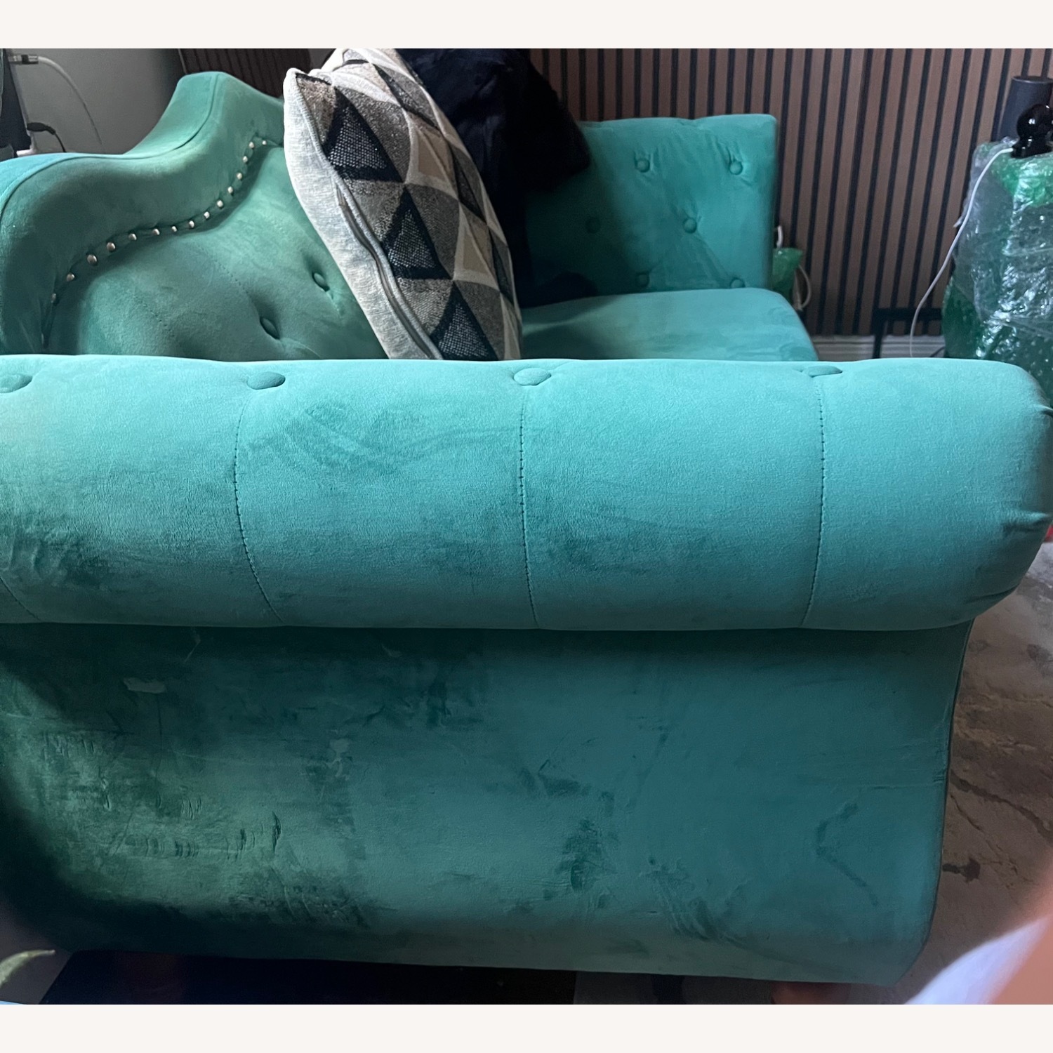 Green Sofa - image-6