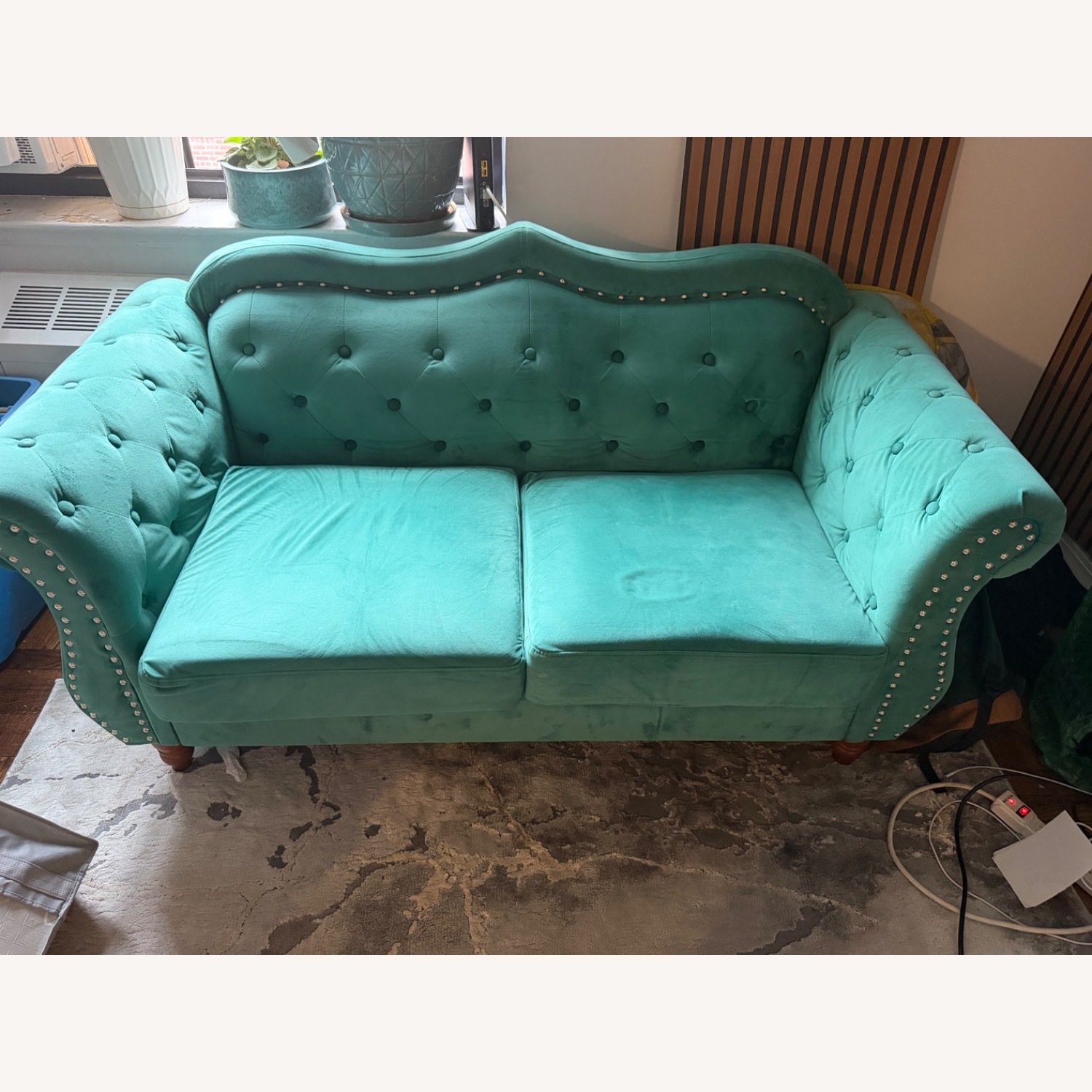 Green Sofa - image-1
