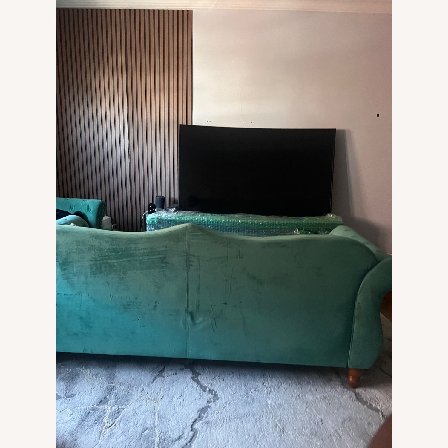 Green Sofa - image-5