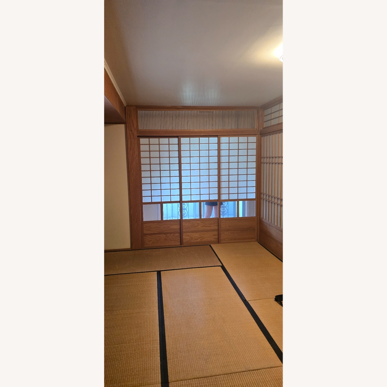 Antique Tatami Matt - image-2
