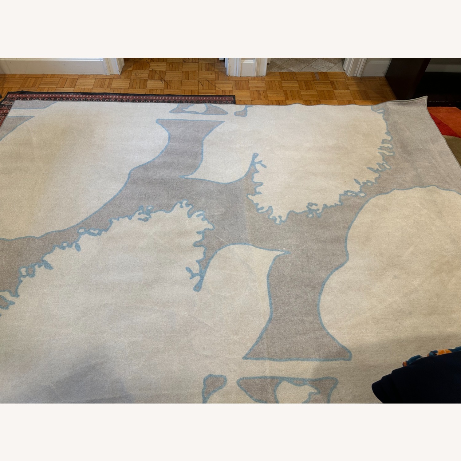 Ruggable Cynthia Rowley Area Rug 6' x 9' - image-2