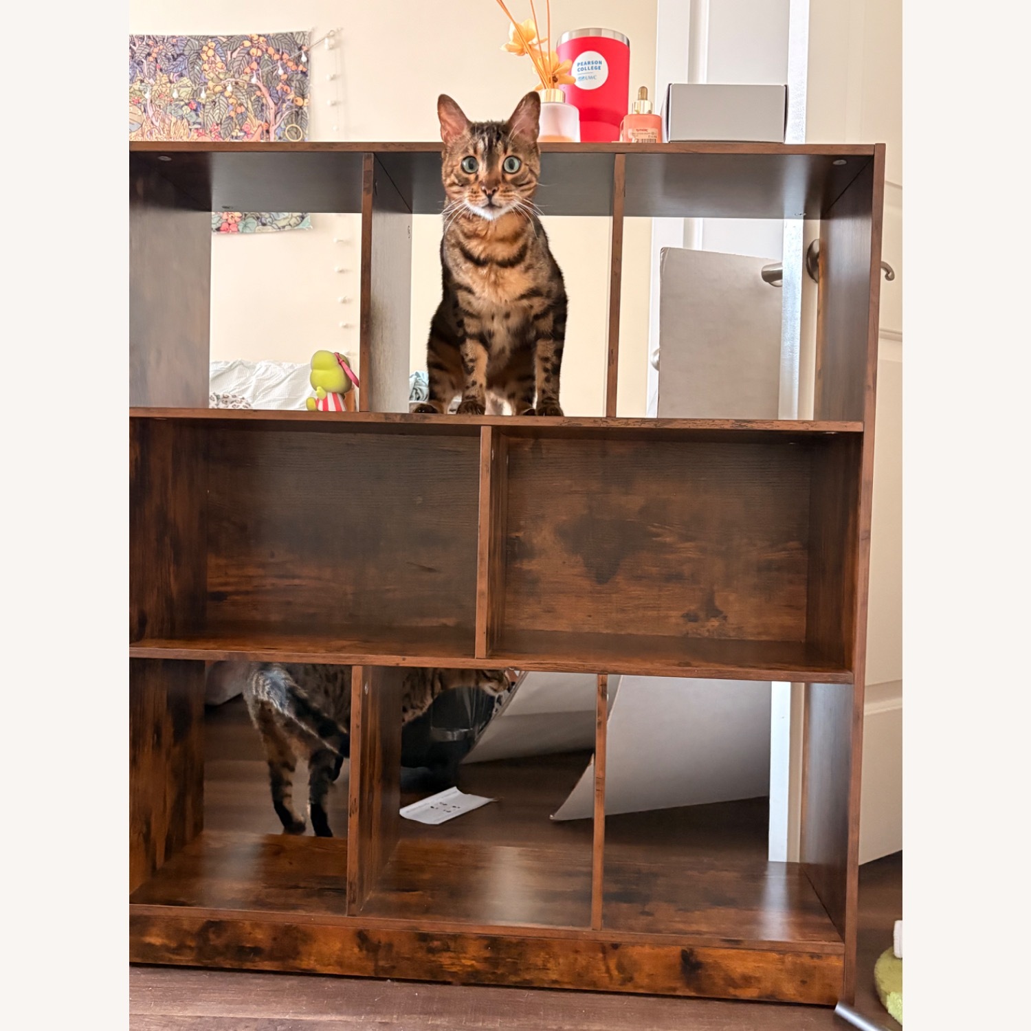 Pottery Barn Dark Brown Wood Bookcase - image-3