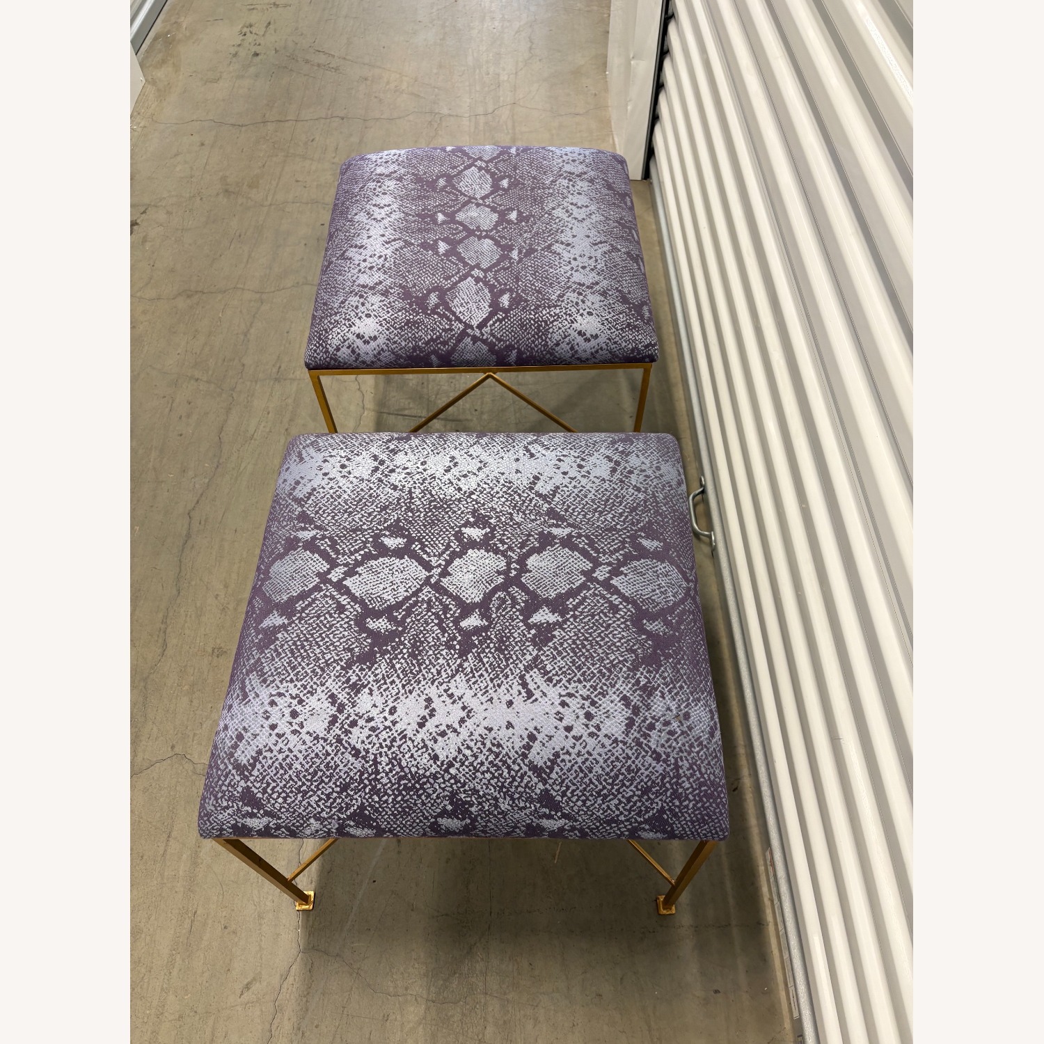 Glam Rock Snakeskin Benches With Brass X-Base - image-1
