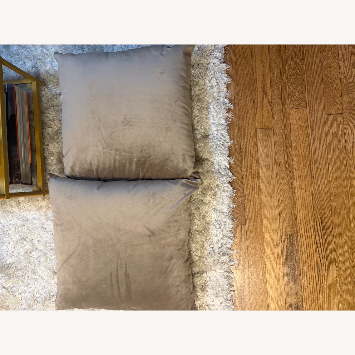 Wayfair Chic Leopard Velvet Pillows - image-2