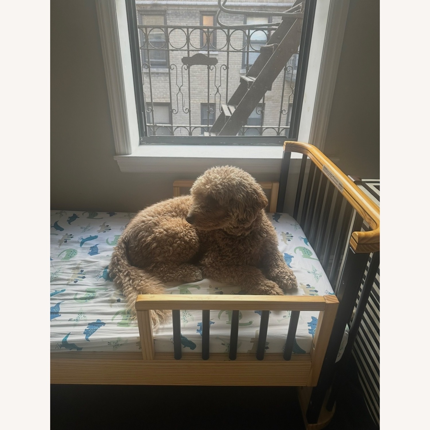 Nestig The Candy Cloud Crib - image-2