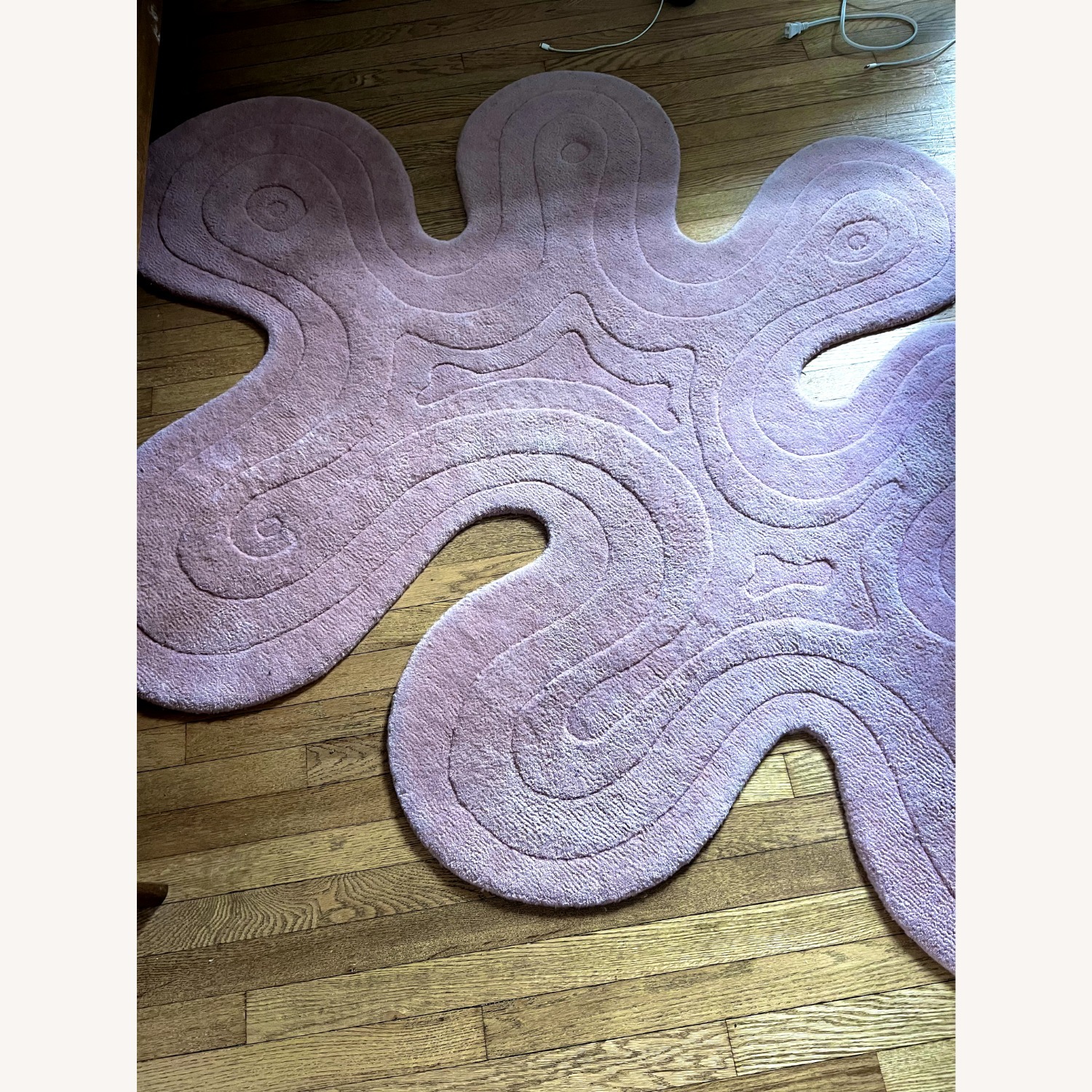 MUSH Studios Pink Dune Rug - image-4