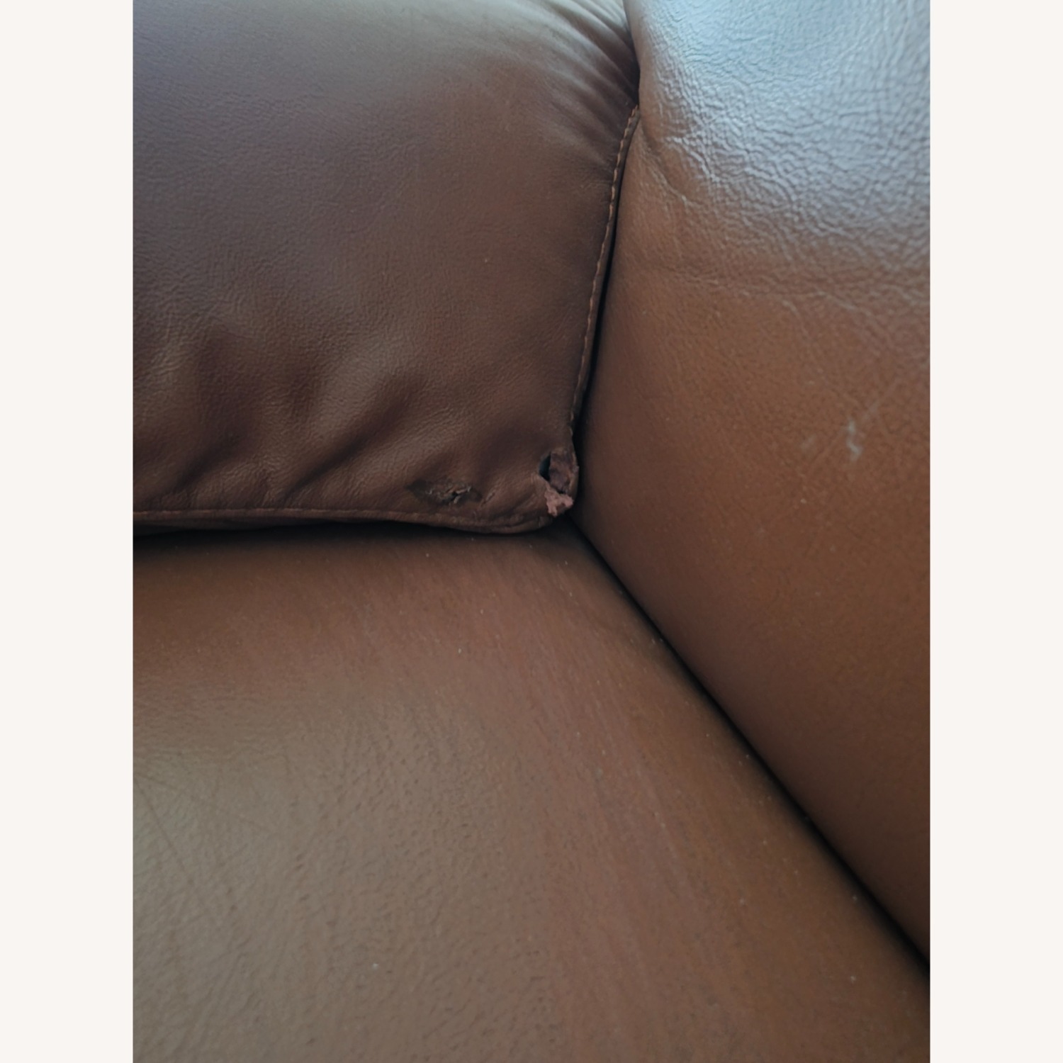 Natuzzi Dark Brown Leather 3+ Piece Sectional - image-8
