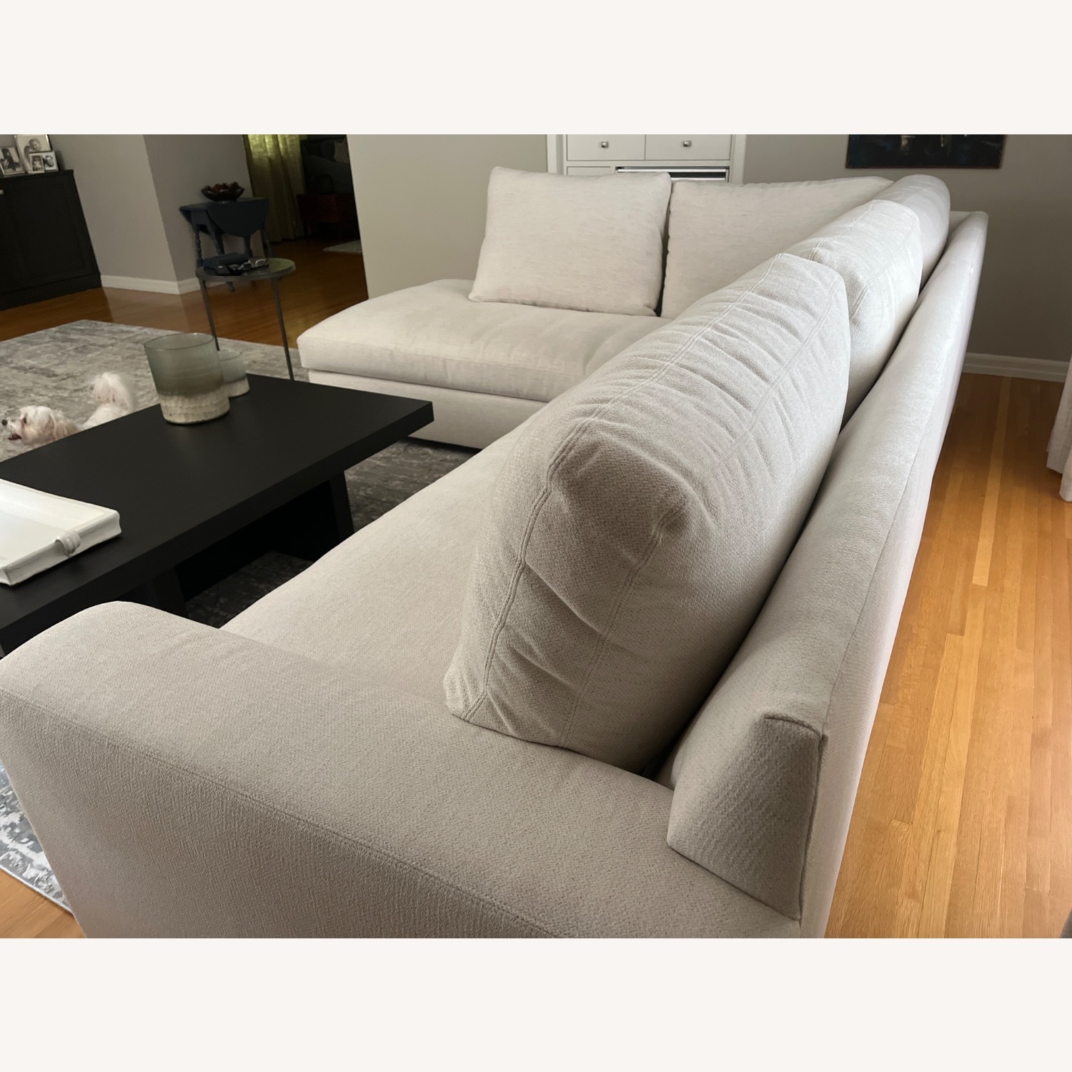 Pottery Barn Chenille Fabric 2 Piece Sectional - image-4