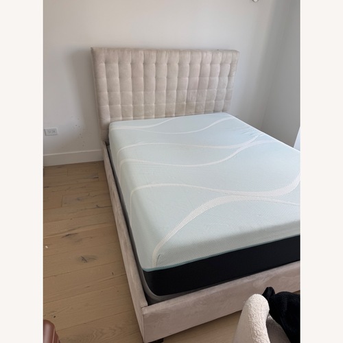 Used Natural Velvet Queen Bed for sale on AptDeco