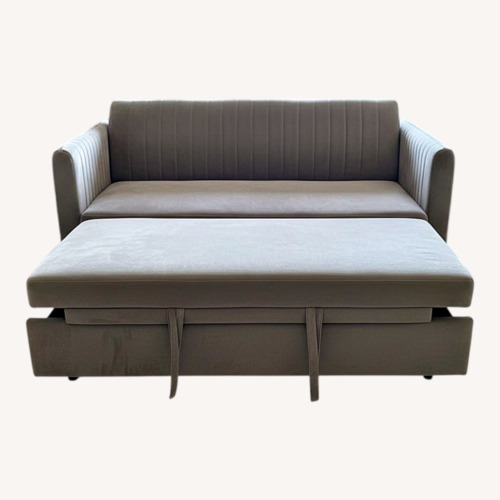 Used Light Gray Fabric Sleeper Sofa for sale on AptDeco